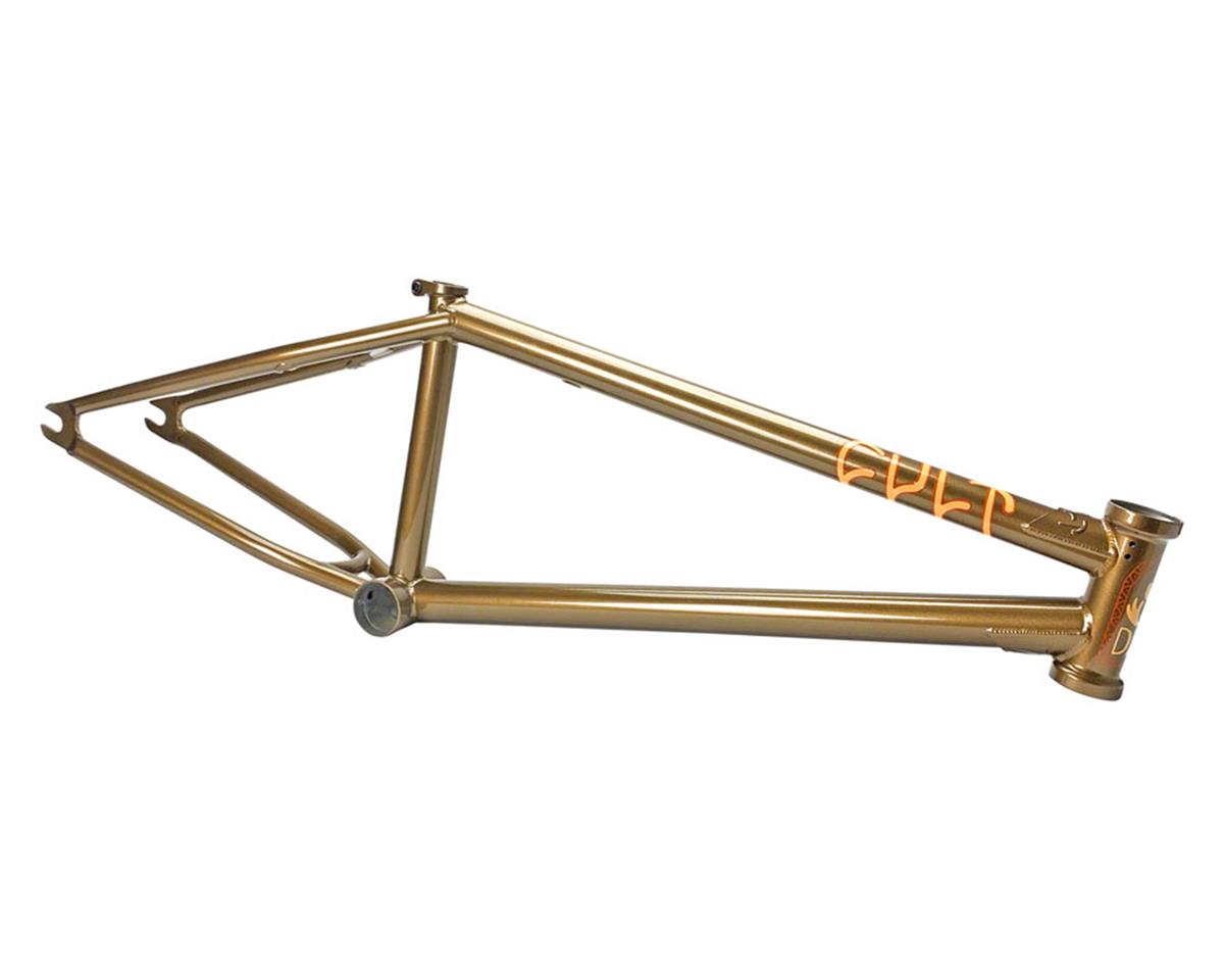 CULT DAK CACTUS FRAME (DAKOTA ROCHE) (BLACK/GOLD)